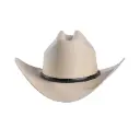 LONA TEXANO AMERICANO